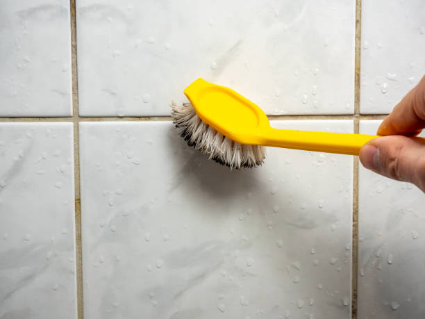 Best Mold Removal Company Near Me  in Dickinson, TX