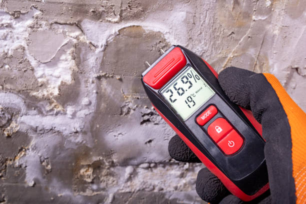 Best Crawl Space Mold Removal  in Dickinson, TX