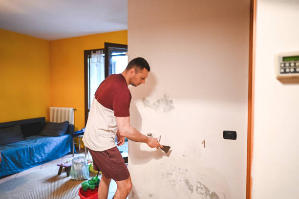 Best Mold Remediation  in Dickinson, TX