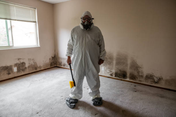 Water Damage Restoration in Dickinson, TX